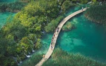 “Ballkani po lulëzon”, ja si mund të përfitoje Shqipëria.