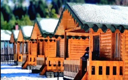 Ferma Sheleguri në Leskovik, bukuri ne çdo stine te vitit