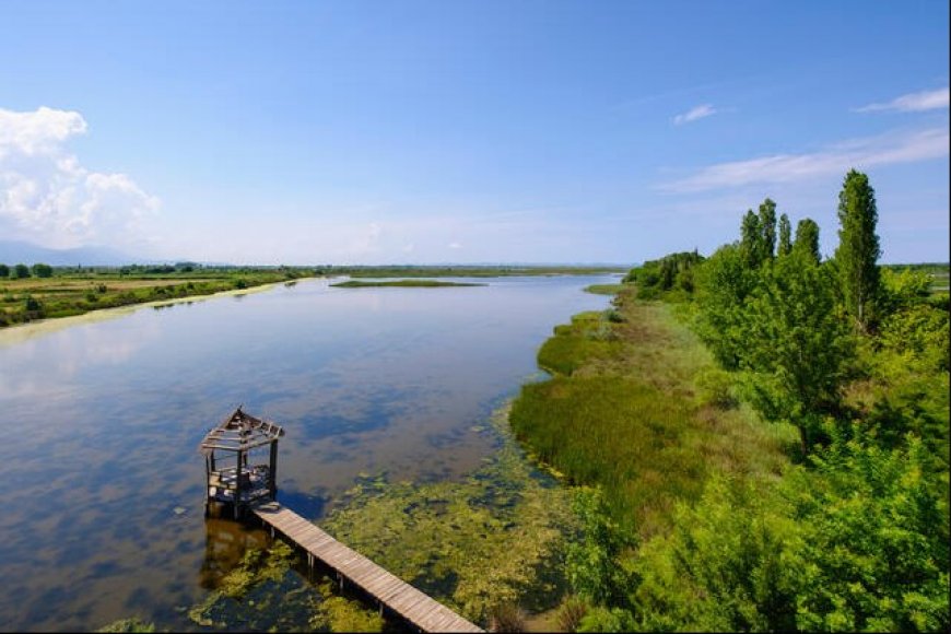 Laguna e Kune Vainit, mrekullia e natyres, nje ndër oazet e biodiversitetit në Europë