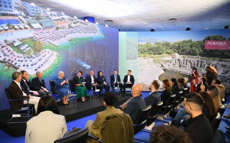 Shefi Global i Këshillimit të Turizmit Topalović: Shqipëria me intensitet të lartë punësimi në turizëm