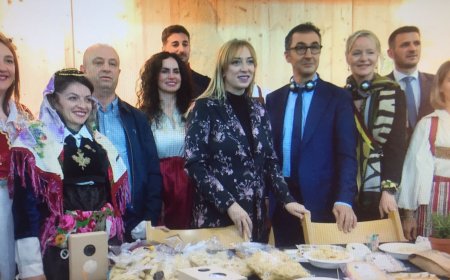 Panairi i Shtutgartit, Özdemir: Mbështetja dhe promovimi i prodhimeve autoktone shqiptare, faktor i rëndësishëm në zhvillimin e vendit - travelBIZ