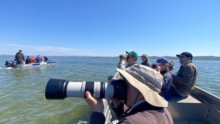 Turistët anglezë vizitojnë Divjakën. Vrojtimi i shpendëve, aventurë që nuk duhet humbur. - travelBIZ