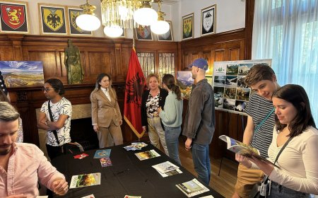 Dyndje qytetaresh prane Ambasades se Shqipërisë në SHBA, arsyeja turizmi - travelBIZ