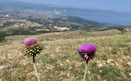 Te apasionuarit pas alpinizmit zbulojne peisazhin mahnites te 3 liqeneve. Akses edhe ne kembe - travelBIZ