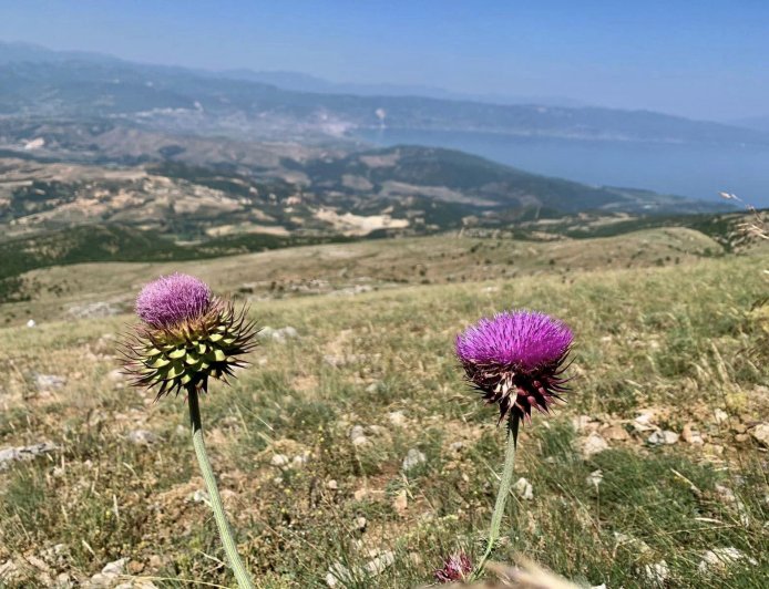 Te apasionuarit pas alpinizmit zbulojne peisazhin mahnites te 3 liqeneve. Akses edhe ne kembe - travelBIZ