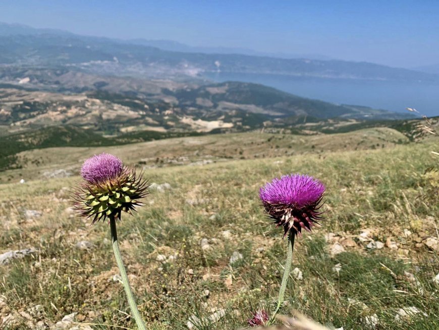 Te apasionuarit pas alpinizmit zbulojne peisazhin mahnites te 3 liqeneve. Akses edhe ne kembe - travelBIZ